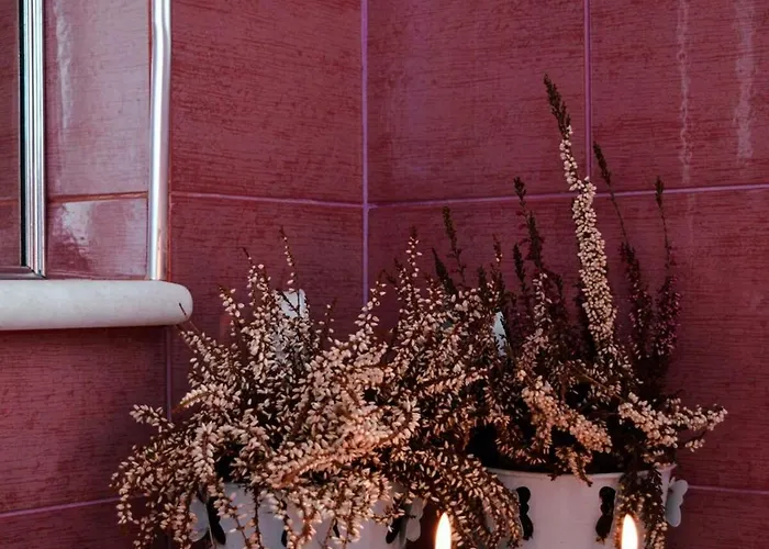 Hébergement de vacances House